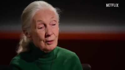 A Message From Dr. Jane Goodall | Famous Last Words