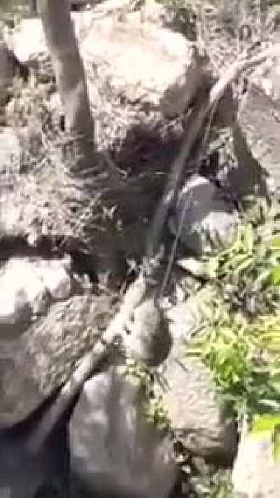 F no chat 😔😔😭😭😫✊✊