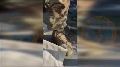 Further work on Snake Island clean up - video from Chief Directorate of Intelligence of the Ministry of Defence of Ukraine. Includes cat tax.