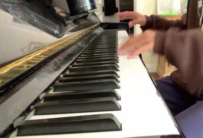 Marsha, Thankk You for the Dialects but I Need You to Leave Piano Cover