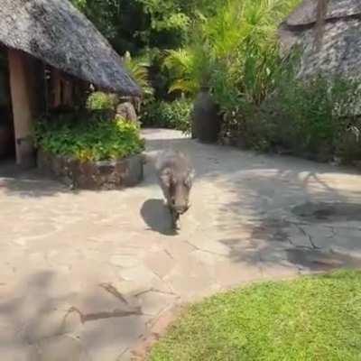 Держал интригу до самого конца