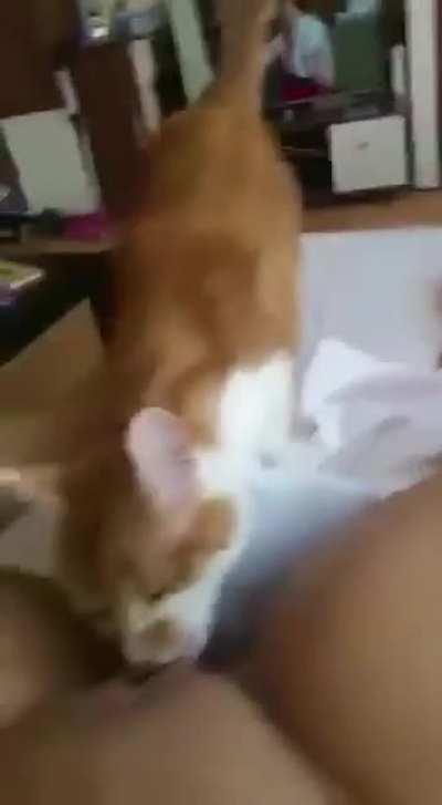 Киска укусила губу