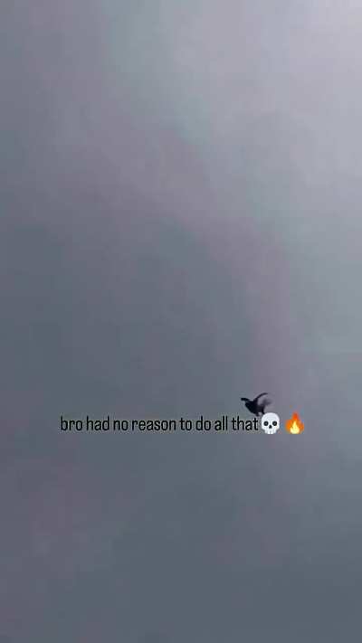 Pigeon randomly starts aura farming