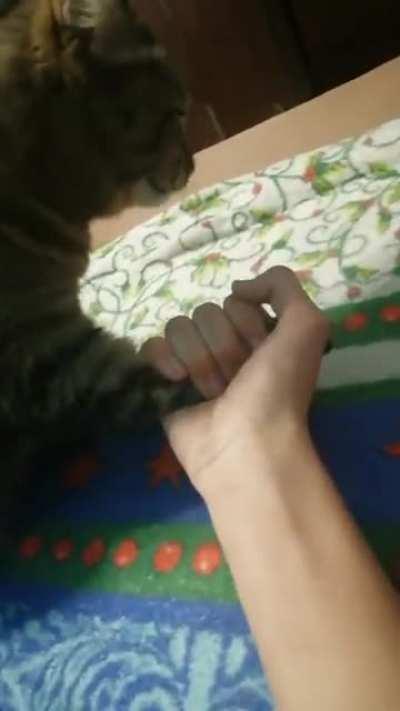 top 3 lutas dos animes