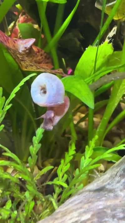 Big Blue Using invisible stairs