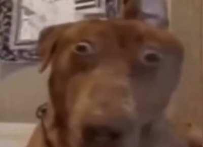 Dreik 🥶💯💯💯