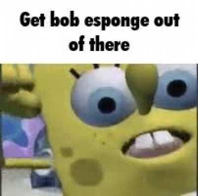 Help get splangle kobs out of here 😭😭😭😭😭😭😭😭😭 (from stev:  