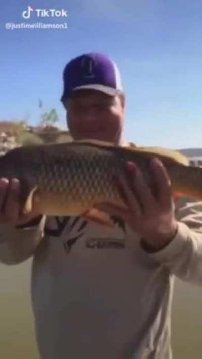 Is it a 💨? No, it's a 💩! Bababooey.