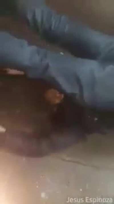 First post ever thought this was funny so I shared