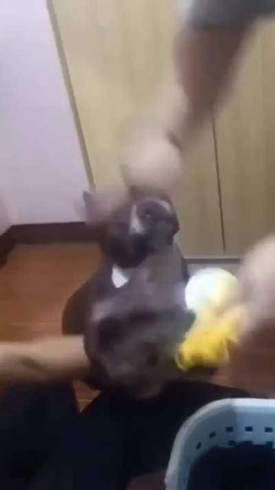 Cool understanding 😊😊😊😊