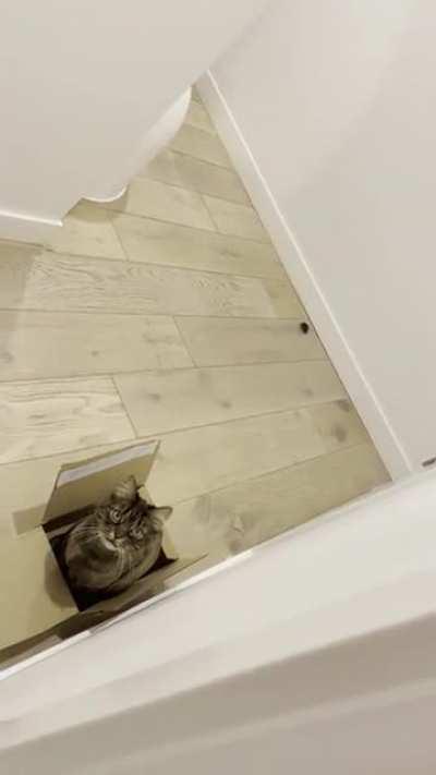 she didn’t like how long i was taking