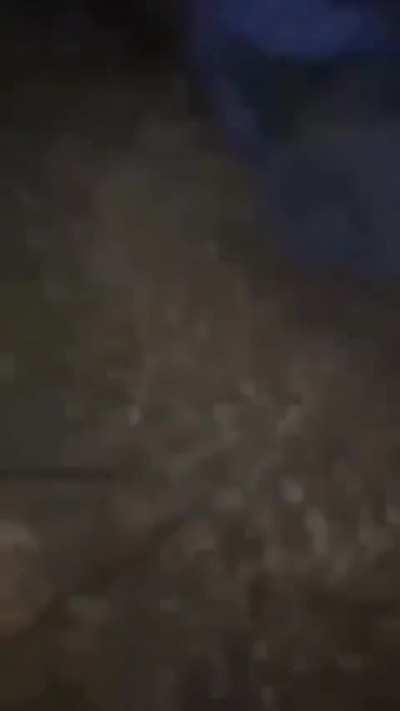 Dusan der katzen mörder wurde gepackt