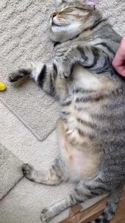 Porkchop knows how to bait a trap.