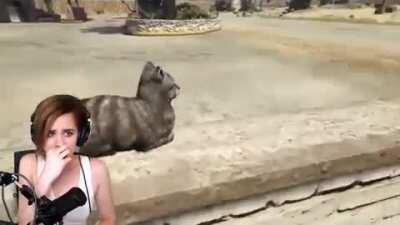 Thats the cutest thing I've seen in my entire life