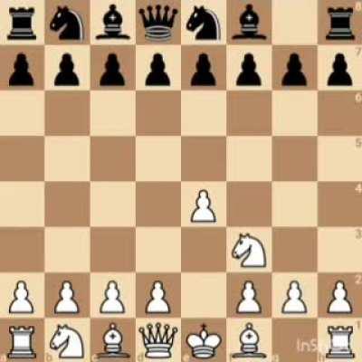 what do you call this opening in chess?