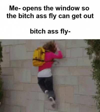 It's RIGHT THERE dammit!