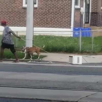 Nothing to see here. She's just taking her AC for a walk.