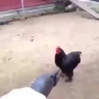 Stimulate your senses