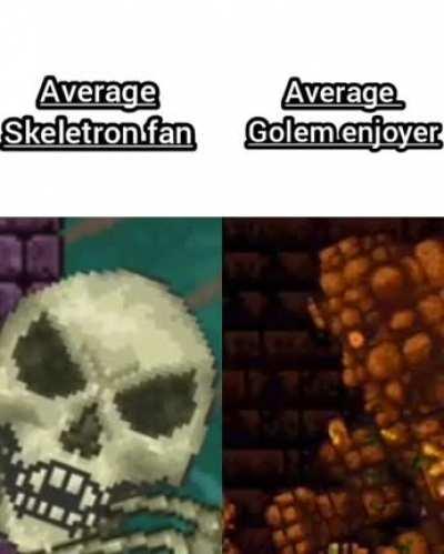 Average skeletron fan vs average golem enjoyer