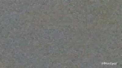 Kono giorno giovanna niwa yume ga aru