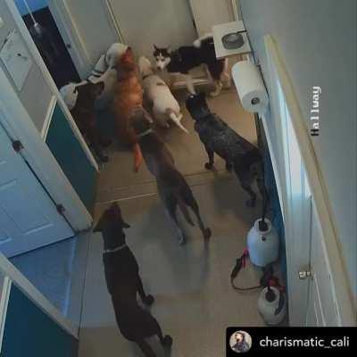 Ain’t No Stopping Us Now