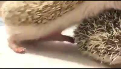 You think your life sucks