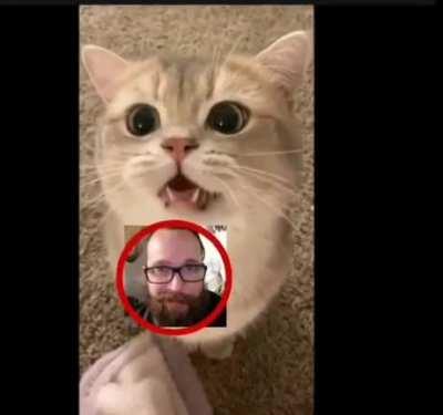 how did I not spot that