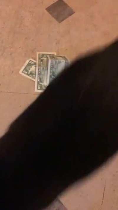 Khajiit protecting his coins