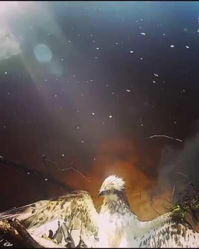 Thank you, I shall not rip off your fingers. Now, if you’ll excuse meeeeeeeeeeeee....... (wait for it)