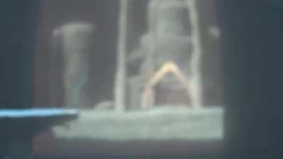 Can we all agree on how precious our goof Soren is? :)