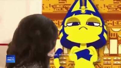 nu va mai dati laba pe animale, animalelor