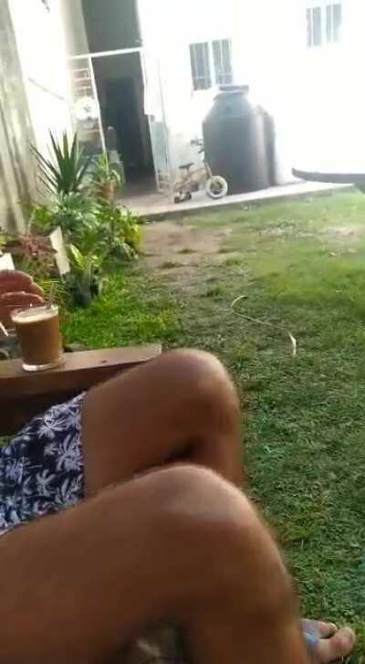 Keeping your coffee within the puppy's reach.