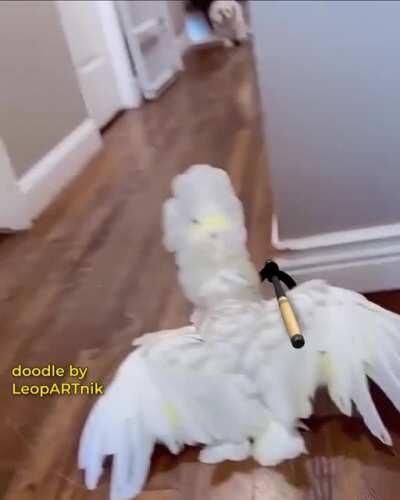 Wrong Place, Wrong Time...