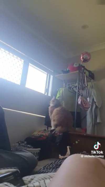 To infinity... and below!! 🚀