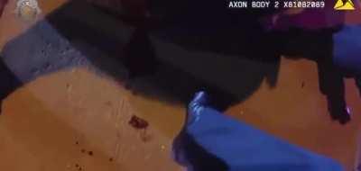 The first rule: if you find yourself in the USA, then never lower your hands raised in front of the cops. NSFW