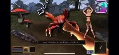 Morrowind is my favorite game