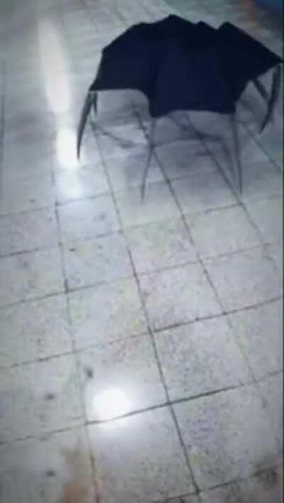 Oh, that su- what's going on?!