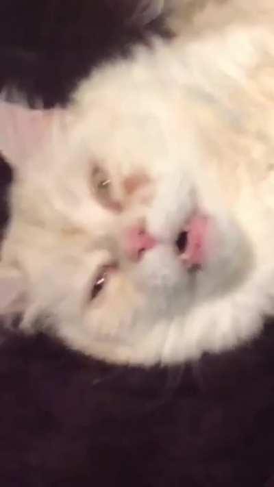 I was told this might belong here...