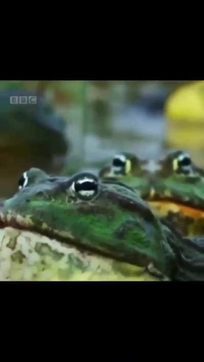 Muajajajajajajahhhgkja