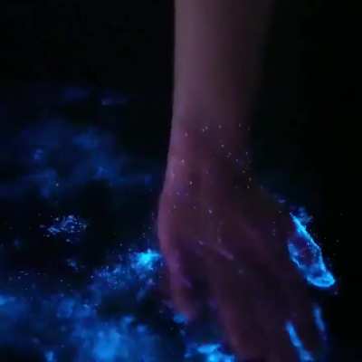 Electric Blue Water in Marina Del Rey, California Caused by Lingulodinium Polyedra - Credit @gunsnrosesgirl3