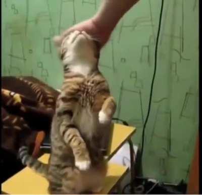 Don’t make her beg!