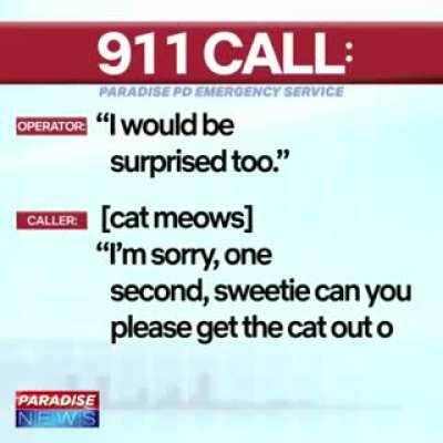 I've seen your self-booby trap call and I raise you this