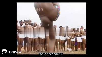 Ass Shot, how to do a proper kick, Back view 