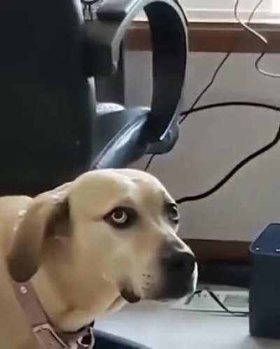 Когда твой человек сломался