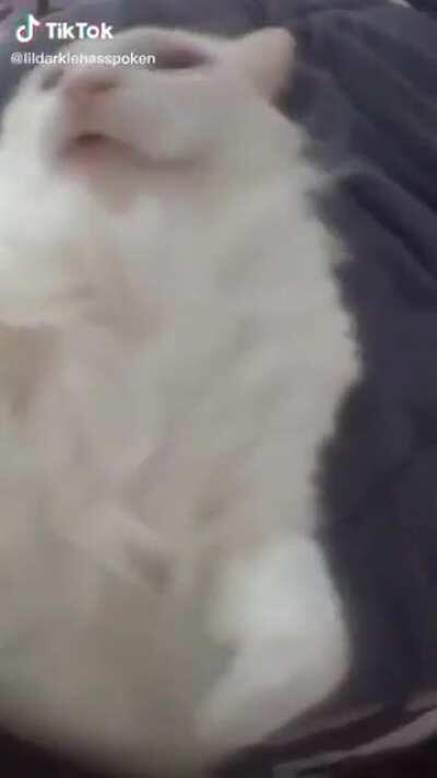 I will be the god of shitposts here