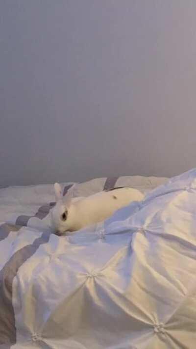 Morning routine. Every morning at 6am. 💕