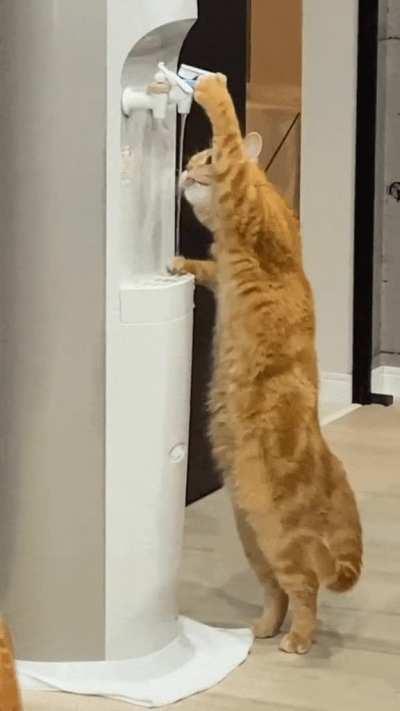 I think this dude is my new hero!