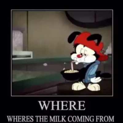 Where is the milk?
