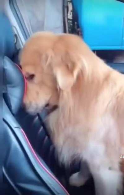 Punishment in silent mode...!!