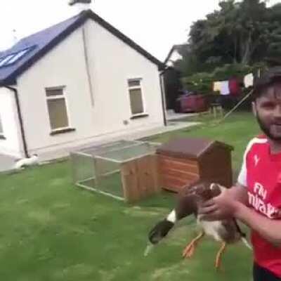 Shit, duck!